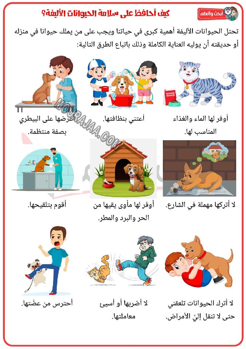 كيف احافظ على سلامة الحيوانات الاليفة 2022