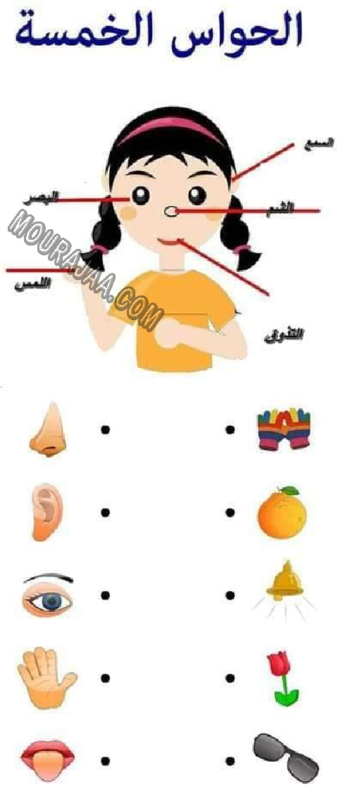 ايقاظ علمي سنة اولى امتحان ثلاثي اول