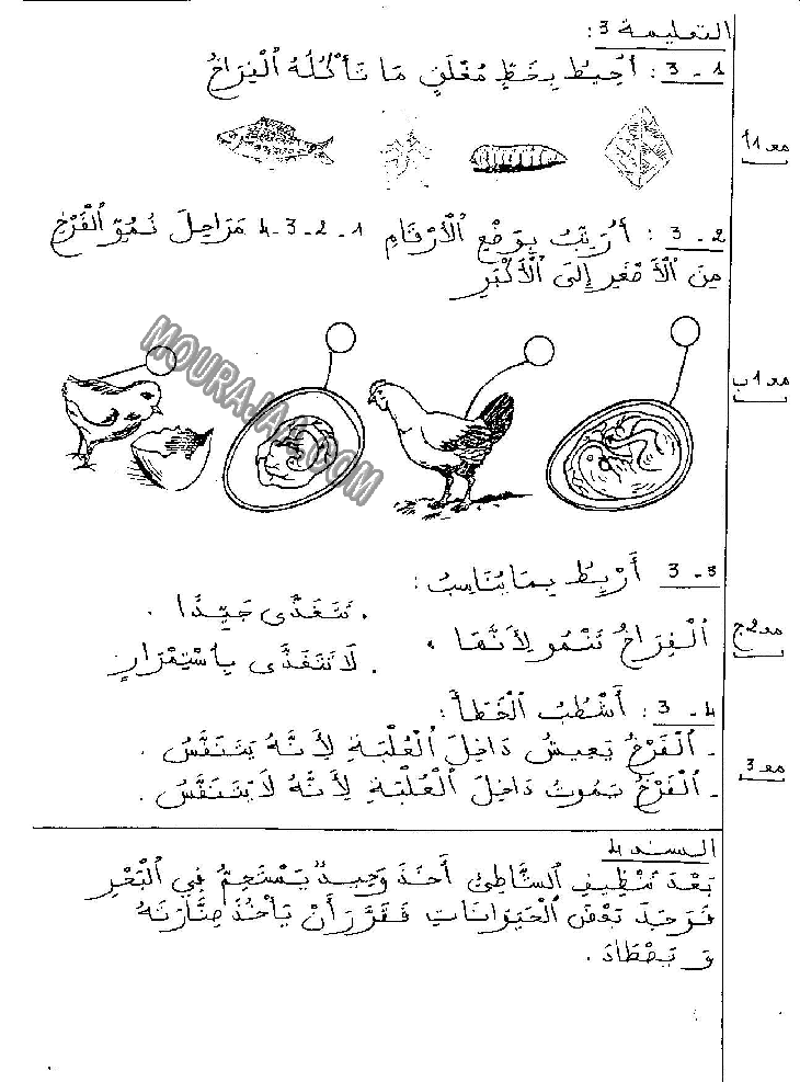 امتحان ايقاظ علمي سنة اولى ثلاثي الثالث 