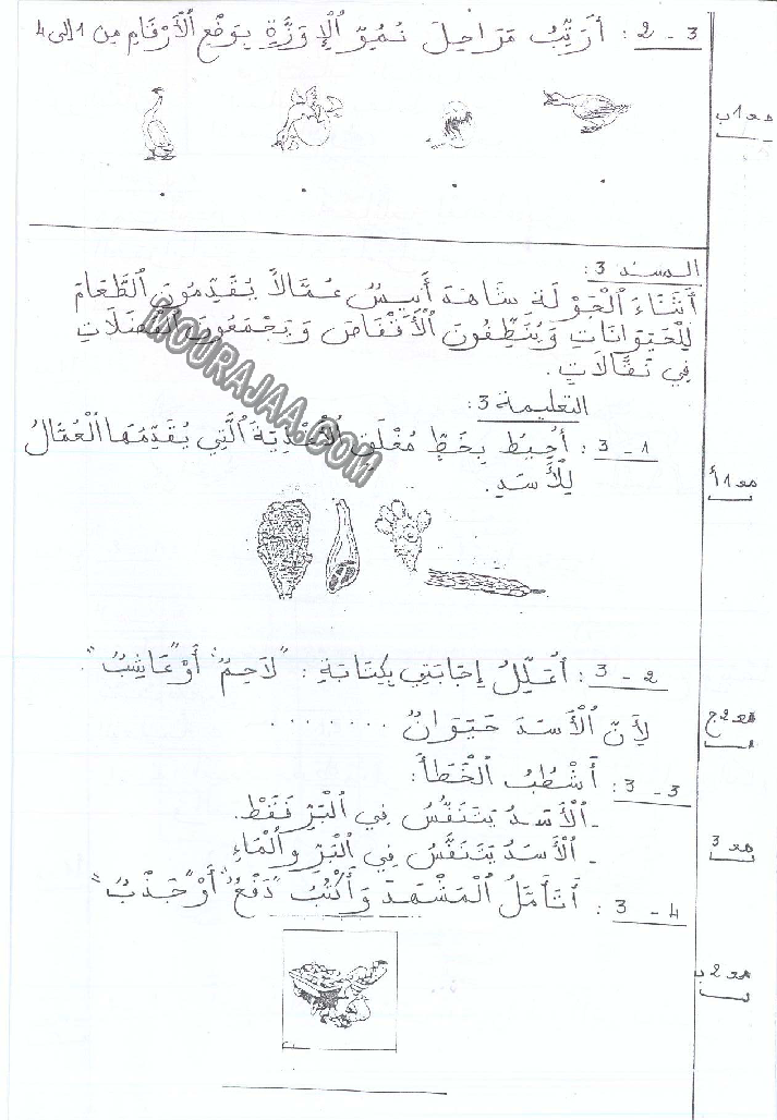 امتحان ايقاظ علمي سنة اولى ثلاثي الثالث 