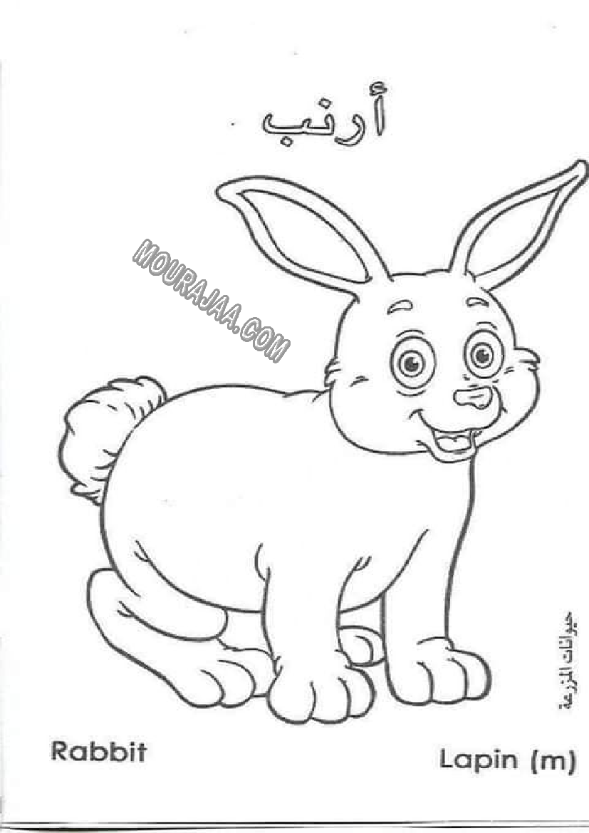 حيوانات المزرعة أتعلم و ألون