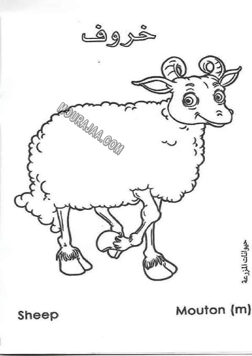 حيوانات المزرعة أتعلم و ألون