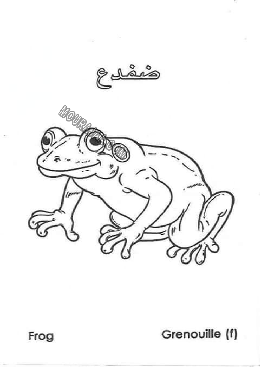 حيوانات المزرعة أتعلم و ألون