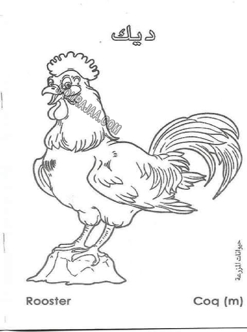 حيوانات المزرعة أتعلم و ألون