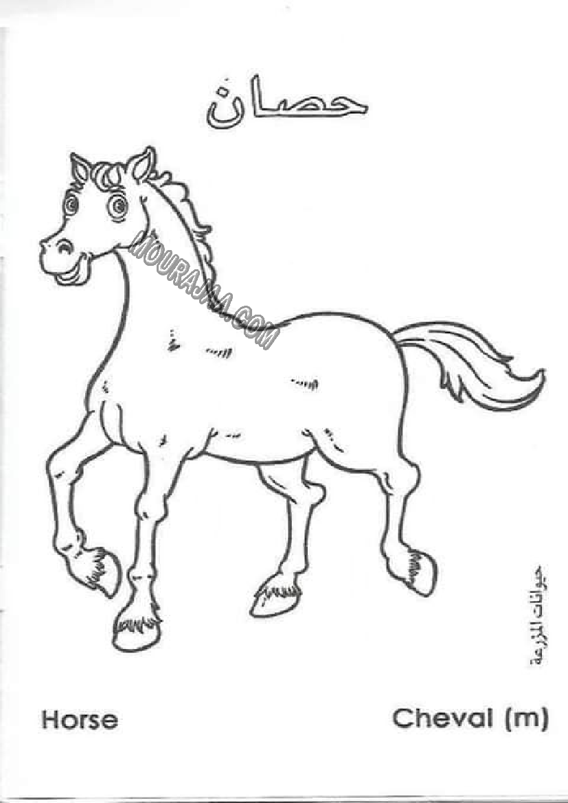 حيوانات المزرعة أتعلم و ألون