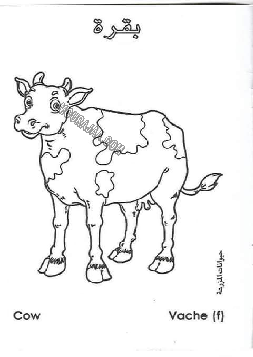 حيوانات المزرعة أتعلم و ألون