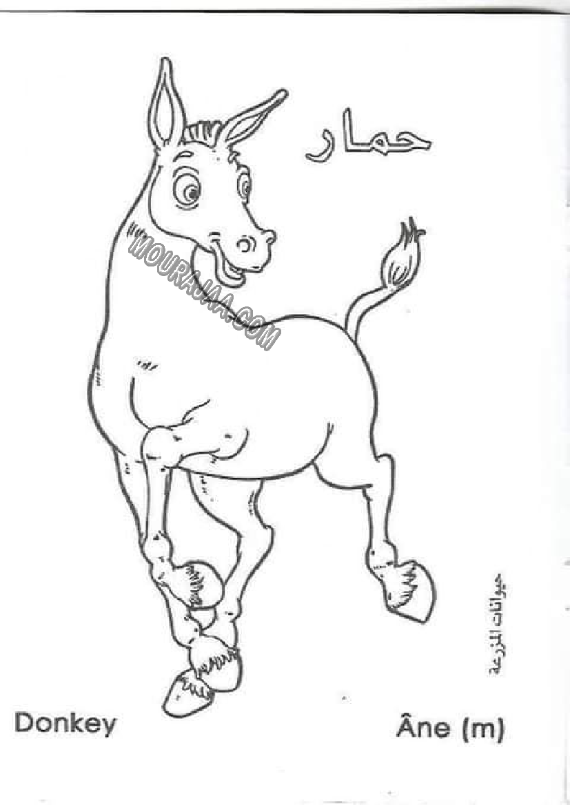 حيوانات المزرعة أتعلم و ألون