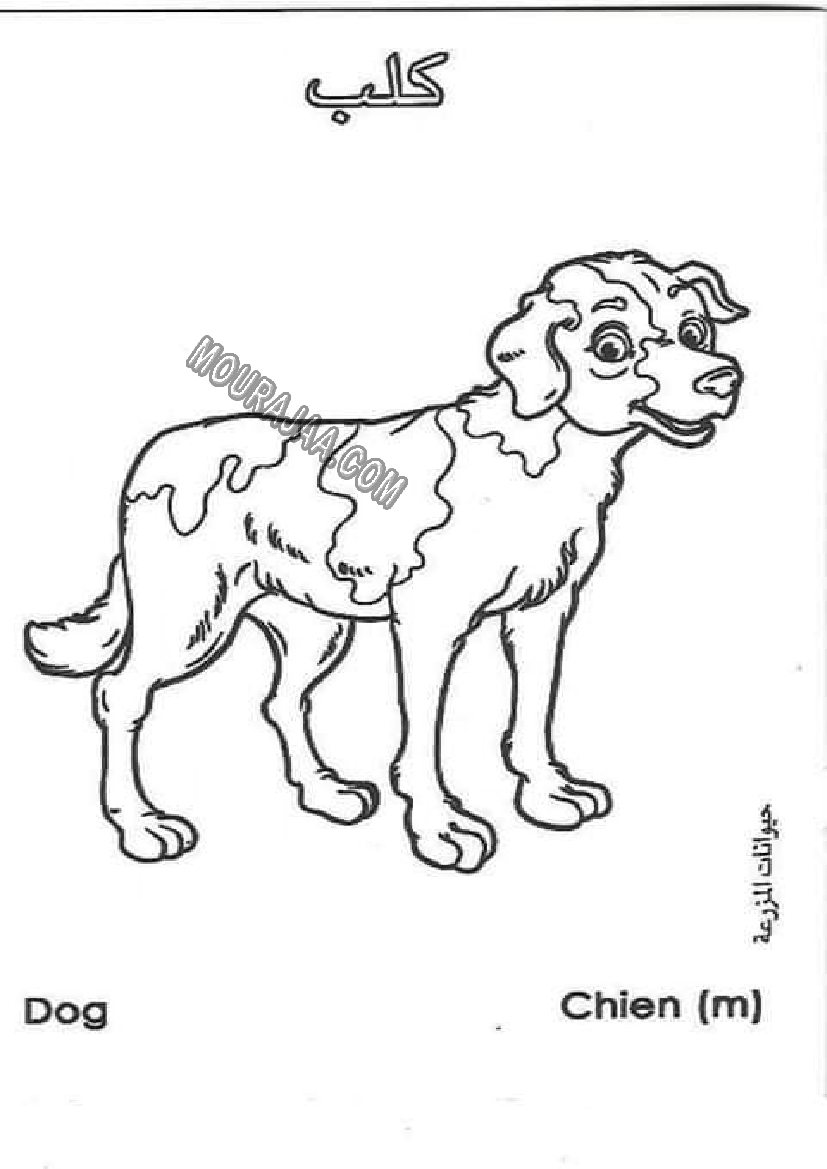 حيوانات المزرعة أتعلم و ألون