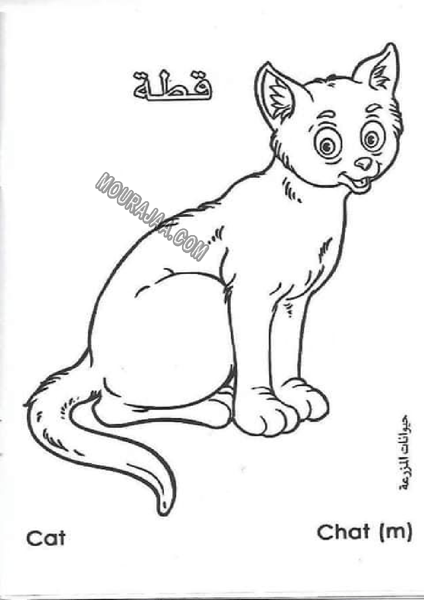 حيوانات المزرعة أتعلم و ألون