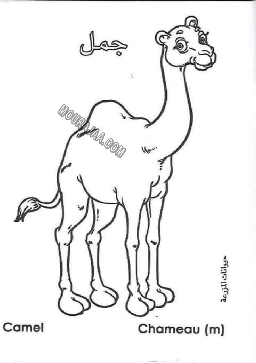 حيوانات المزرعة أتعلم و ألون