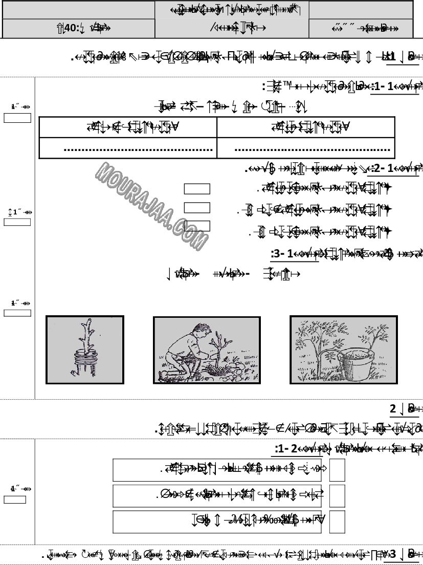 امتحان ايقاظ علمي سنة رابعة ثلاثي الثالث 