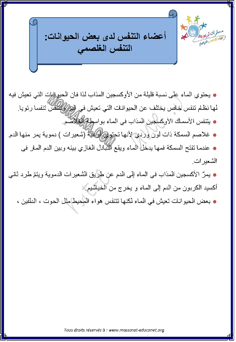 اعضاء التنفس لدى بعض الحيوانات التنقس الخلصمي