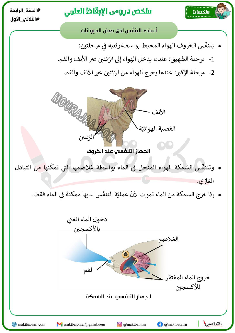 ملخص دروس الايقاظ العلمي سنة الرابعة الثلاثي الاول 2022