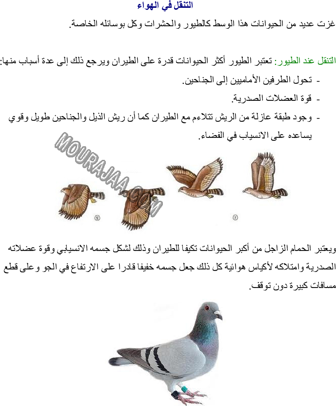 أنماط التنقل عند الحيوان - تكيف العضو مع نمط التنقل