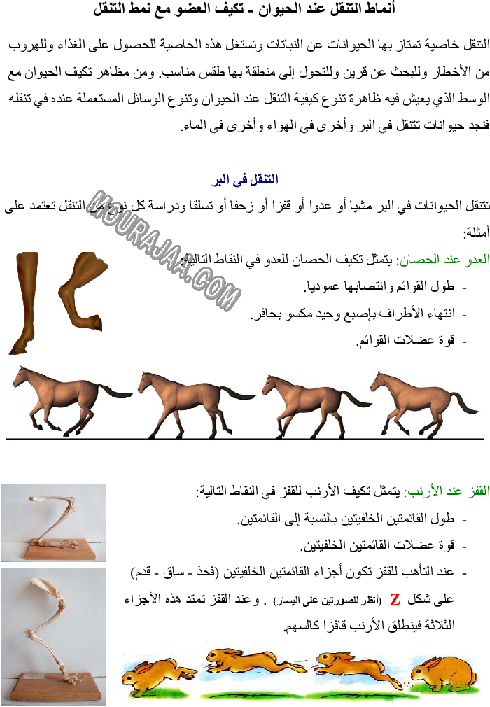 أنماط التنقل عند الحيوان - تكيف العضو مع نمط التنقل