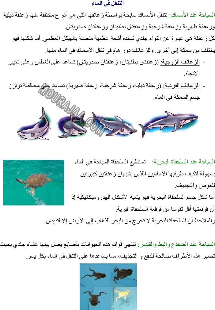 أنماط التنقل عند الحيوان - تكيف العضو مع نمط التنقل