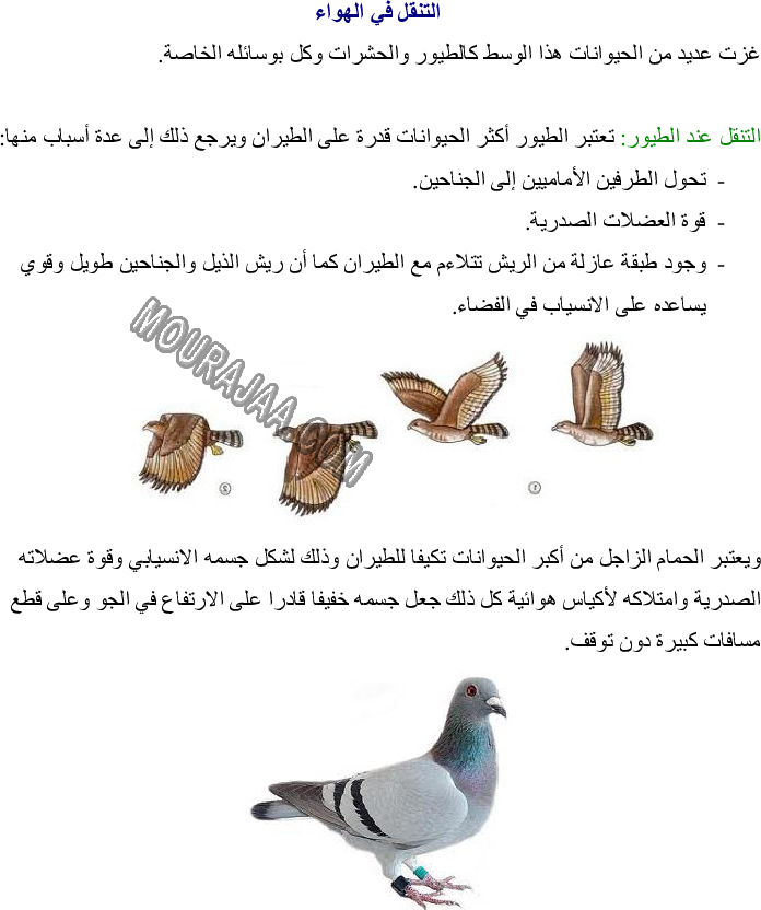 أنماط التنقل عند الحيوان - تكيف العضو مع نمط التنقل