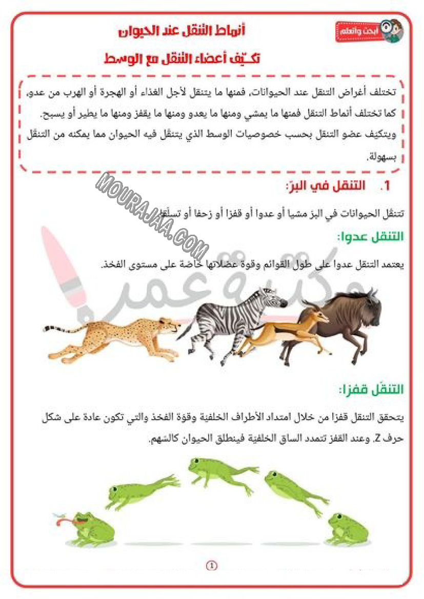 أنماط التنقل عند الحيوان تكيّف أعضاء التنقل مع الوسط 2022