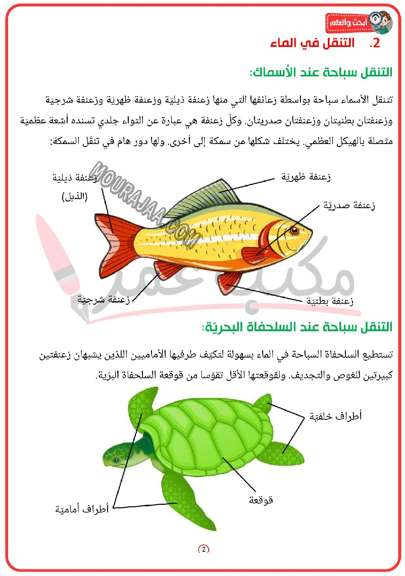 أنماط التنقل عند الحيوان تكيّف أعضاء التنقل مع الوسط 2022