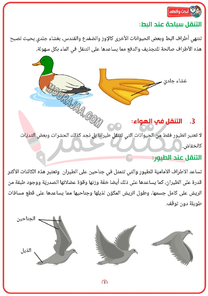 أنماط التنقل عند الحيوان تكيّف أعضاء التنقل مع الوسط 2022