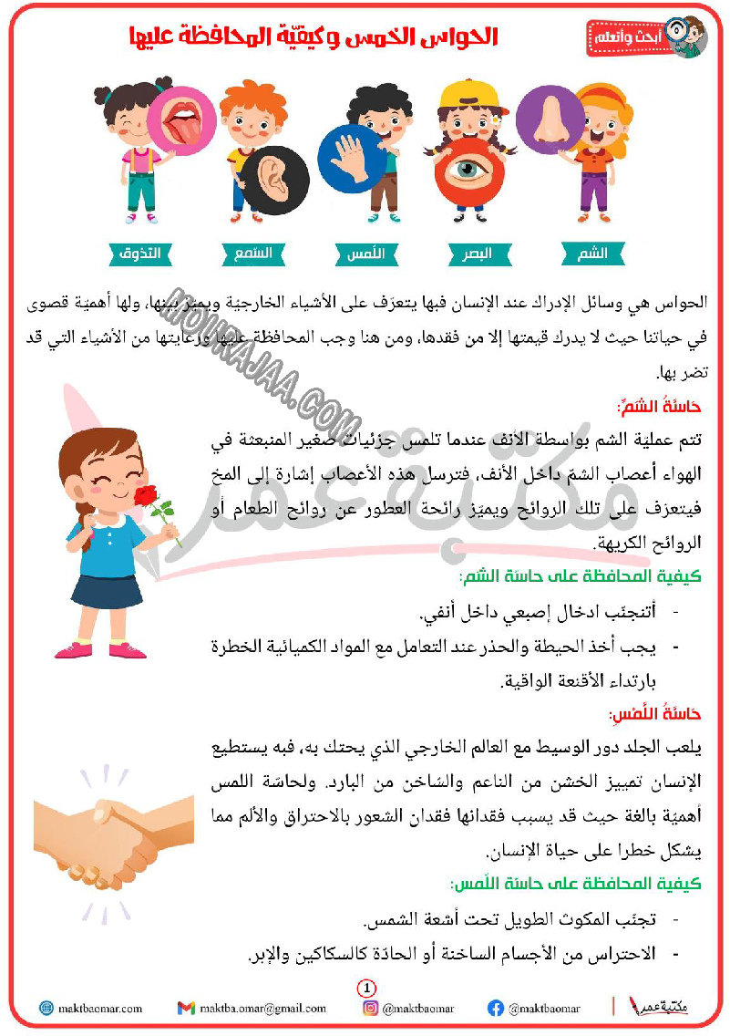 الحواس الخمس وكيفيّة المحافظة عليها 2022