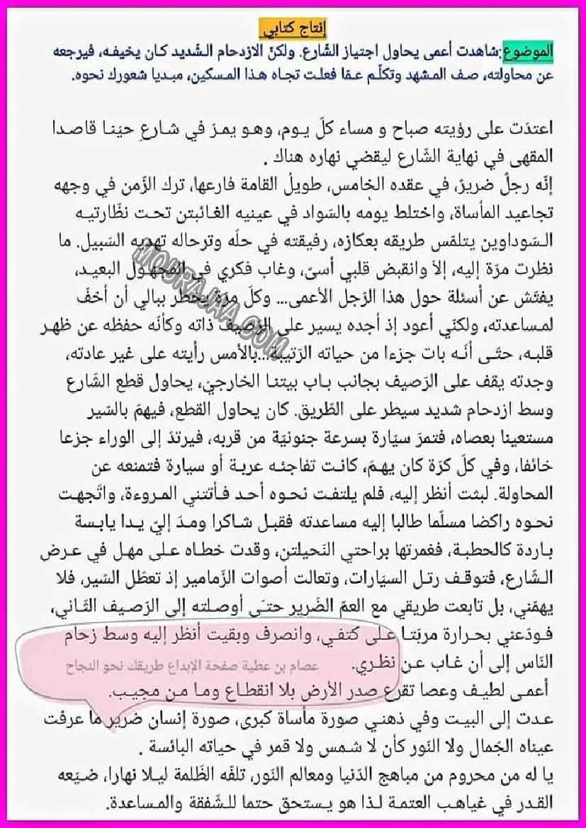 انتاج كتابي حول مساعدة اعمى في اجتياز الطريق