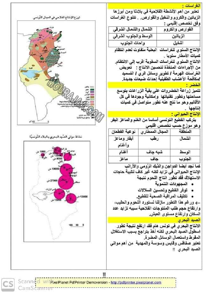 الفلاحة و الصيد البحري بالبلاد التونسية