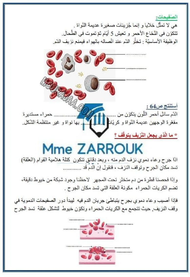 جهاز دوران الدم و التغذية 2022