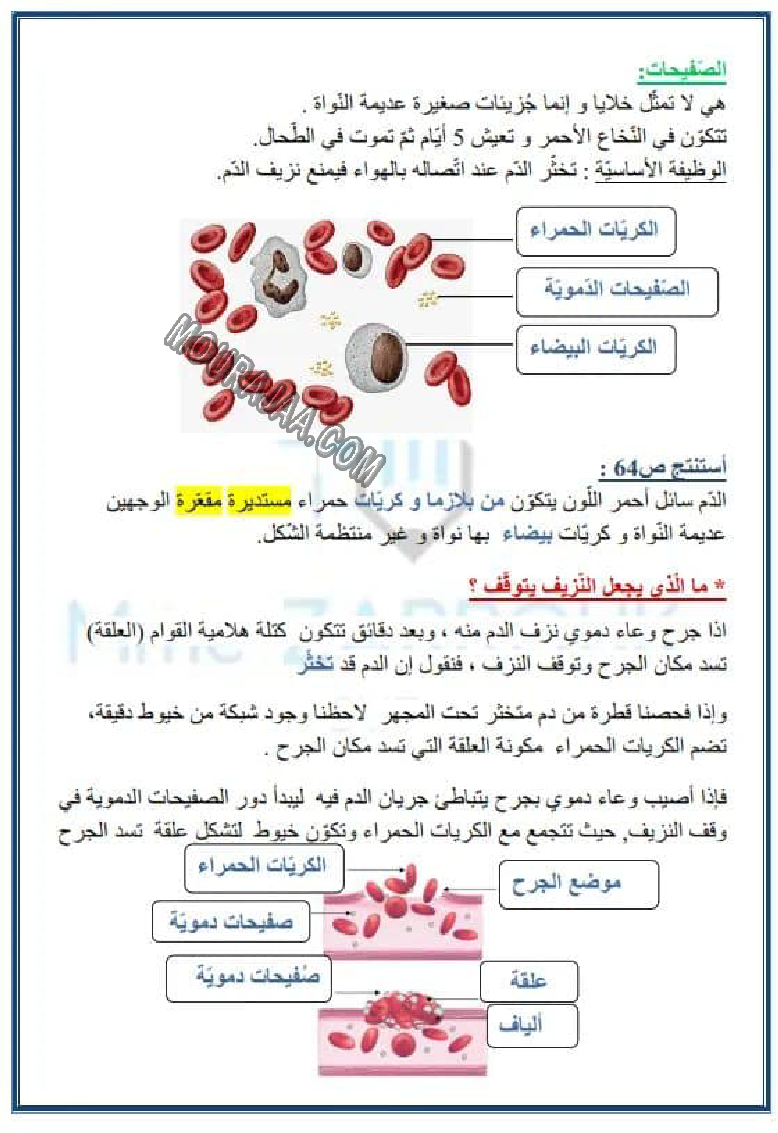 جهاز دوران الدم و التغذية 2022