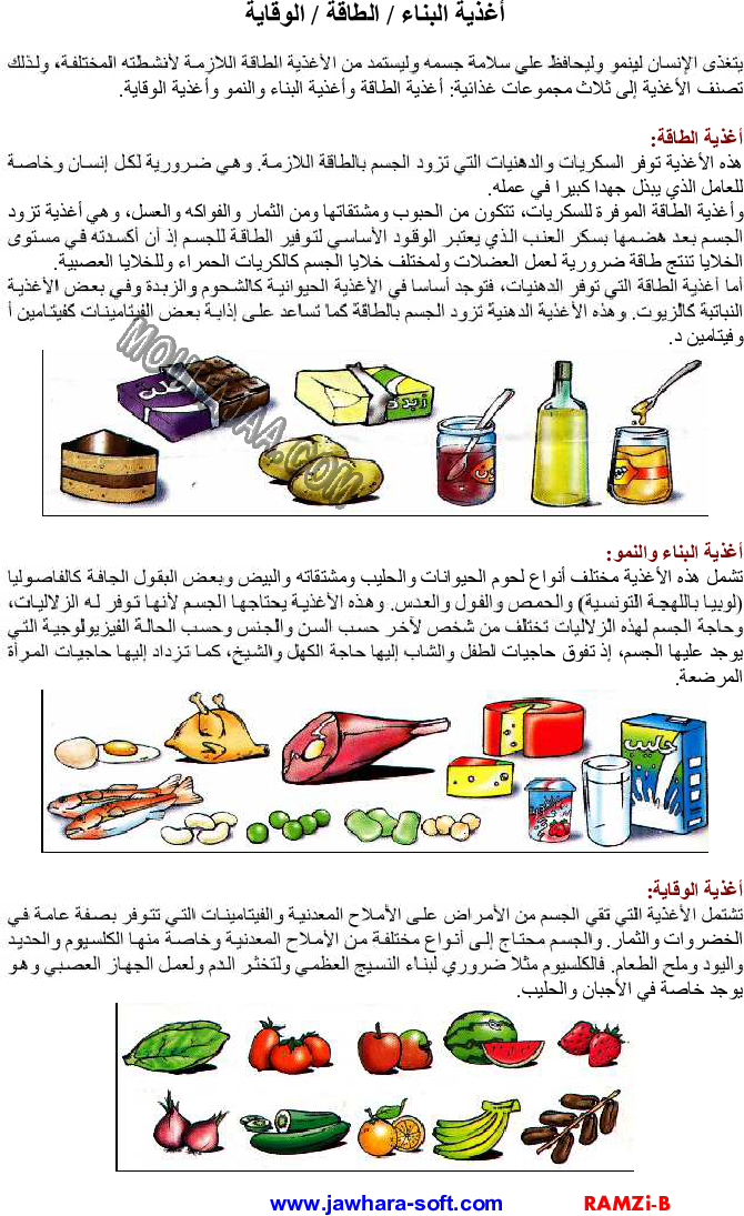 أغذية البناء - الطاقة - الوقاية