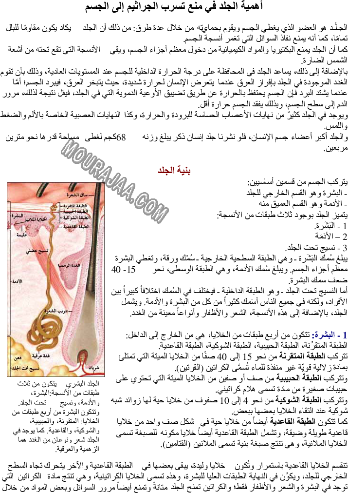 أهمية الجلد في منع تسرب الجراثيم إلى الجسم