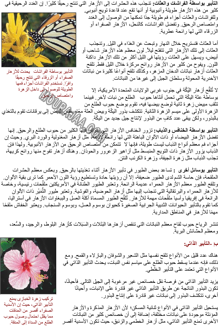 التأبير والإخصاب ودورة حياة النبتة الزهرية (حولية ودائمة)