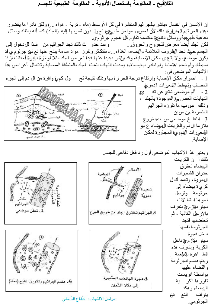 التلاقيح - المقاومة باستعمال الأدوية والمقاومة الطبيعية للجسم