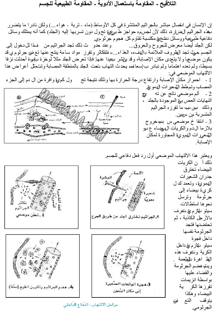 التلاقيح - المقاومة باستعمال الأدوية والمقاومة الطبيعية للجسم