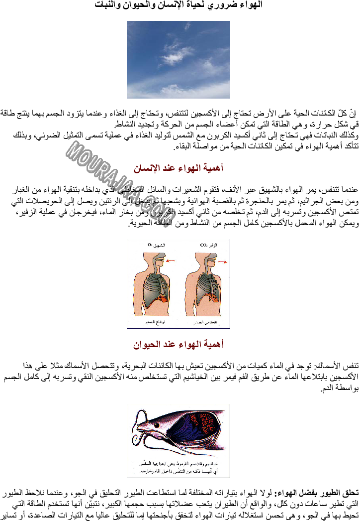 الهواء ضروري لحياة الإنسان والحيوان والنبات