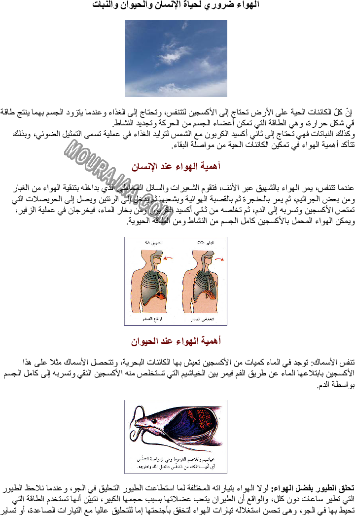 الهواء ضروري لحياة الإنسان والحيوان والنبات