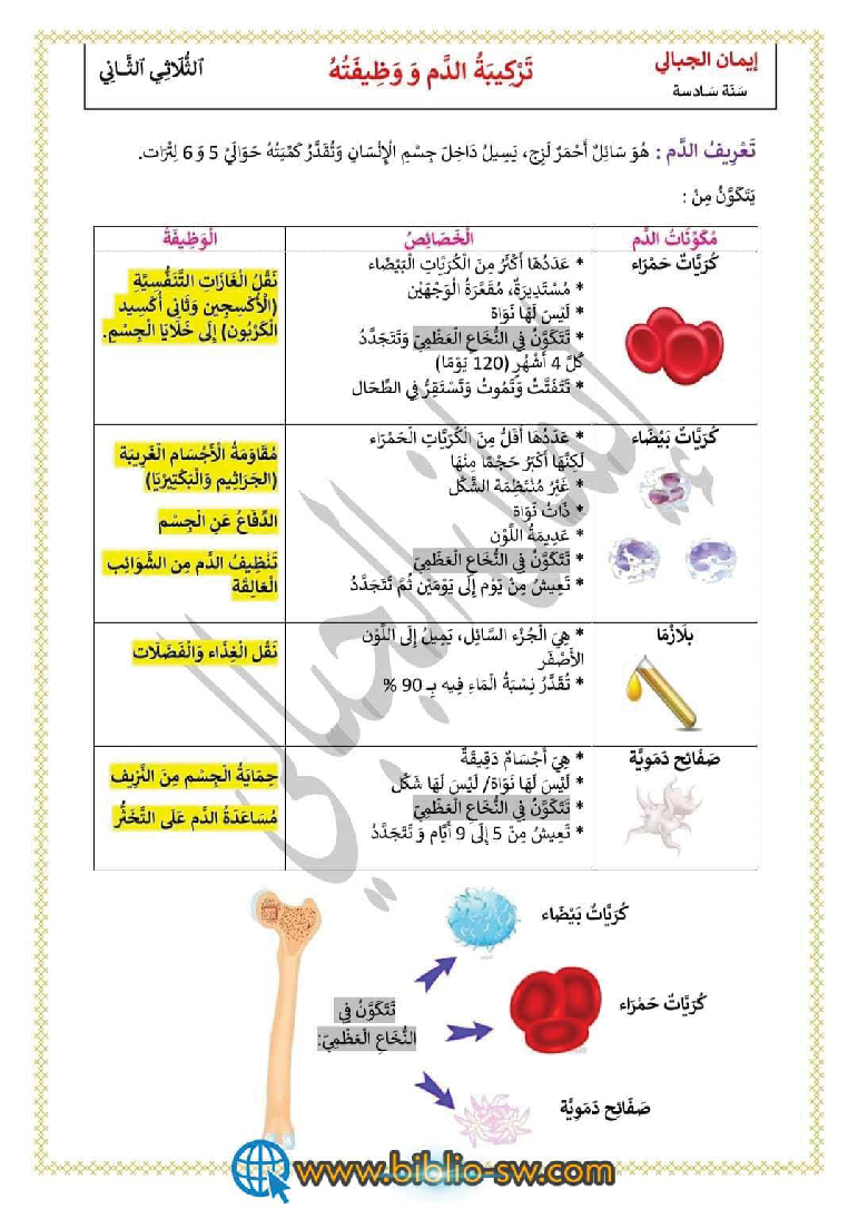 خصائص و تركيبة و وظيفة الدم