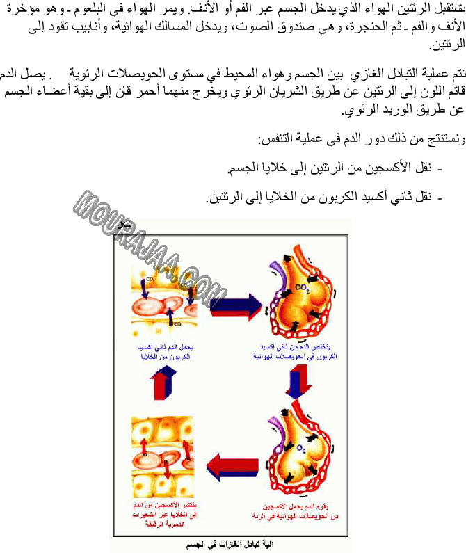 وظيفة الرئتين في التبادل الغازي بين الجسم والمحيط