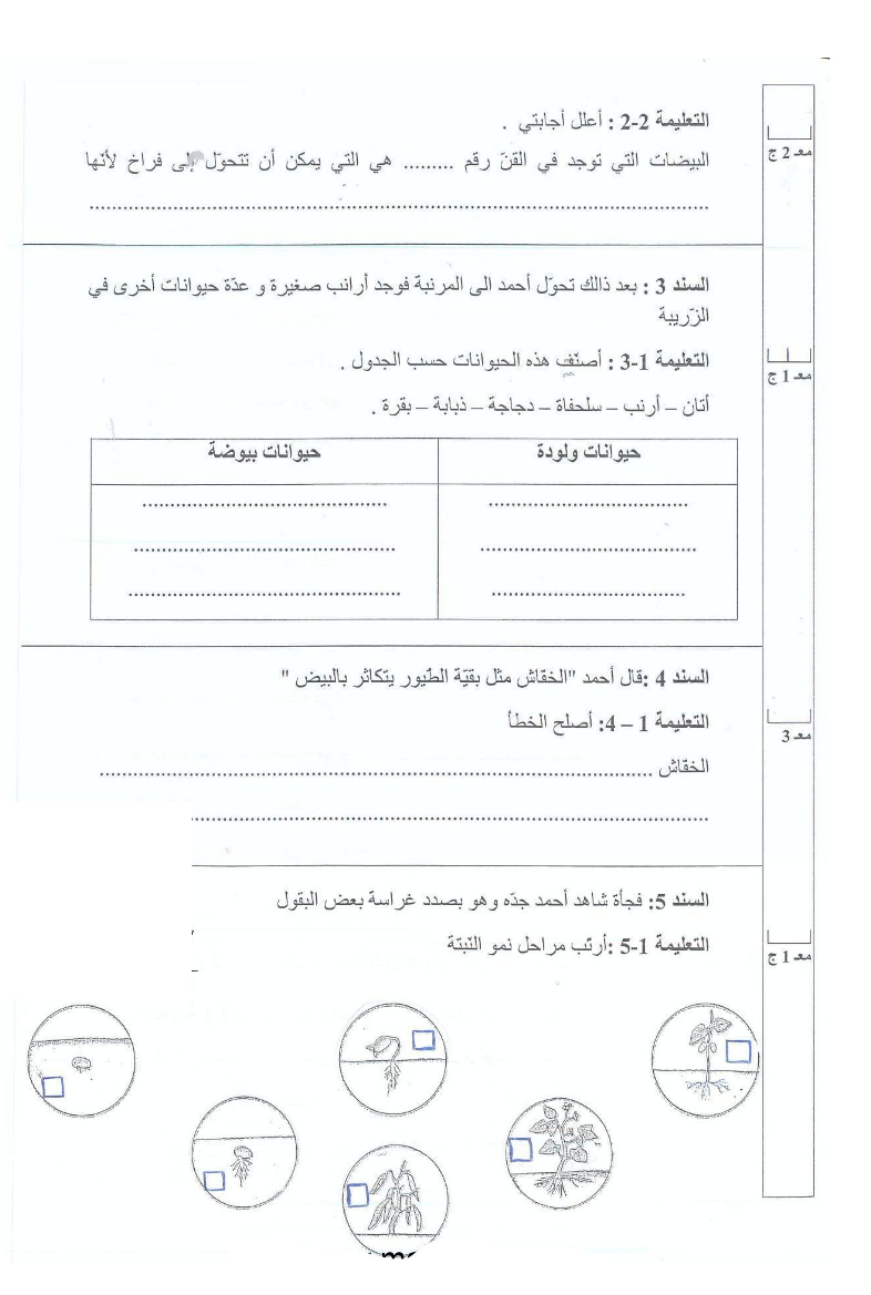امتحان_في_الايقاظ_العلمي_سنة_الثالثة_الثلاثي_الثاني3