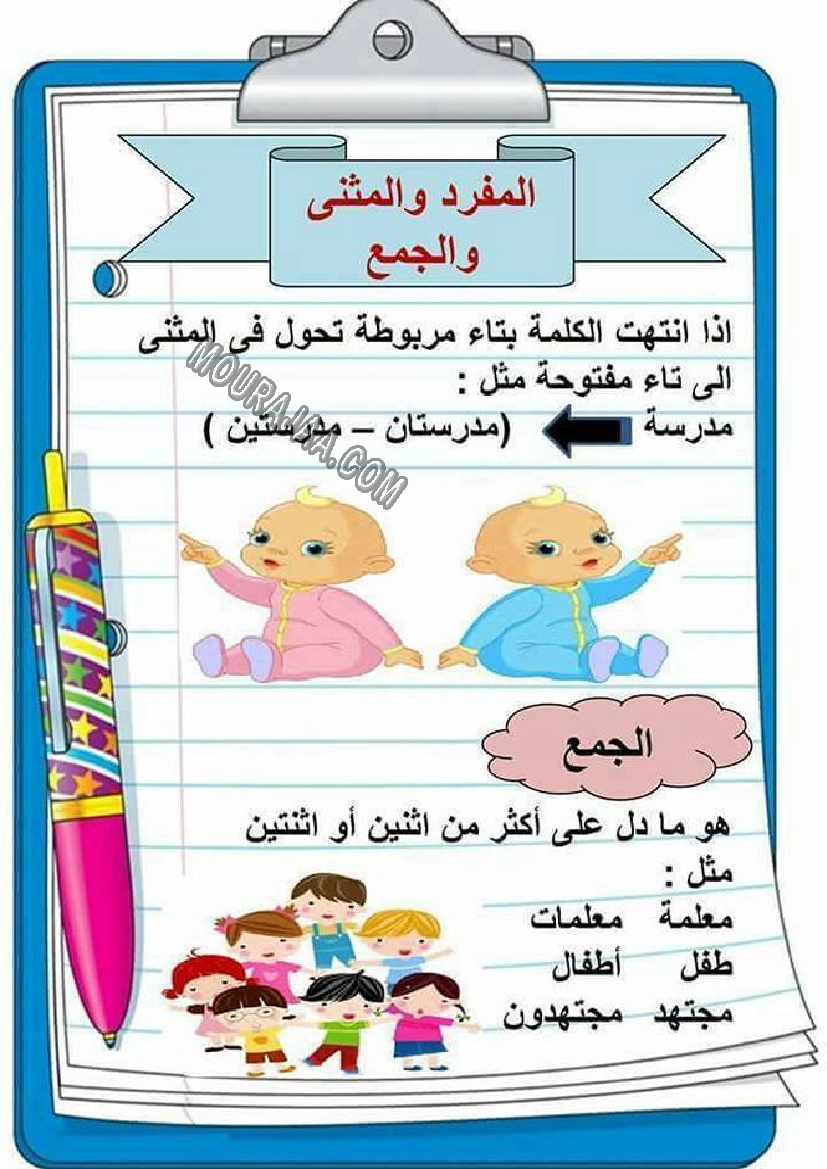 المفرد و المثنى و الجمع