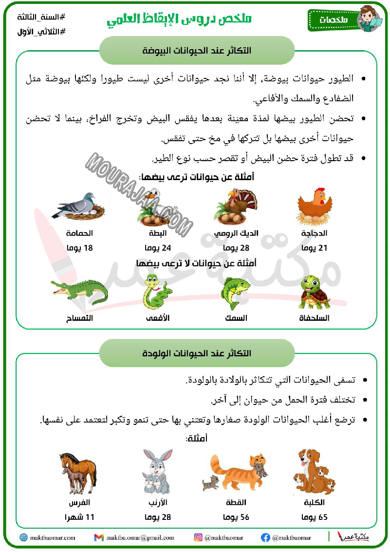 ملخص دروس الايقاظ العلمي سنة الثالثة الثلاثي الاول 2022