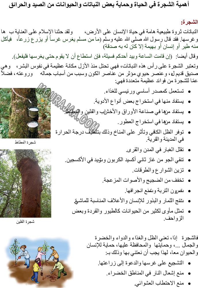 أهمية الشجرة في الحياة وحماية بعض النباتات والحيوانات من الصيد والحرائق