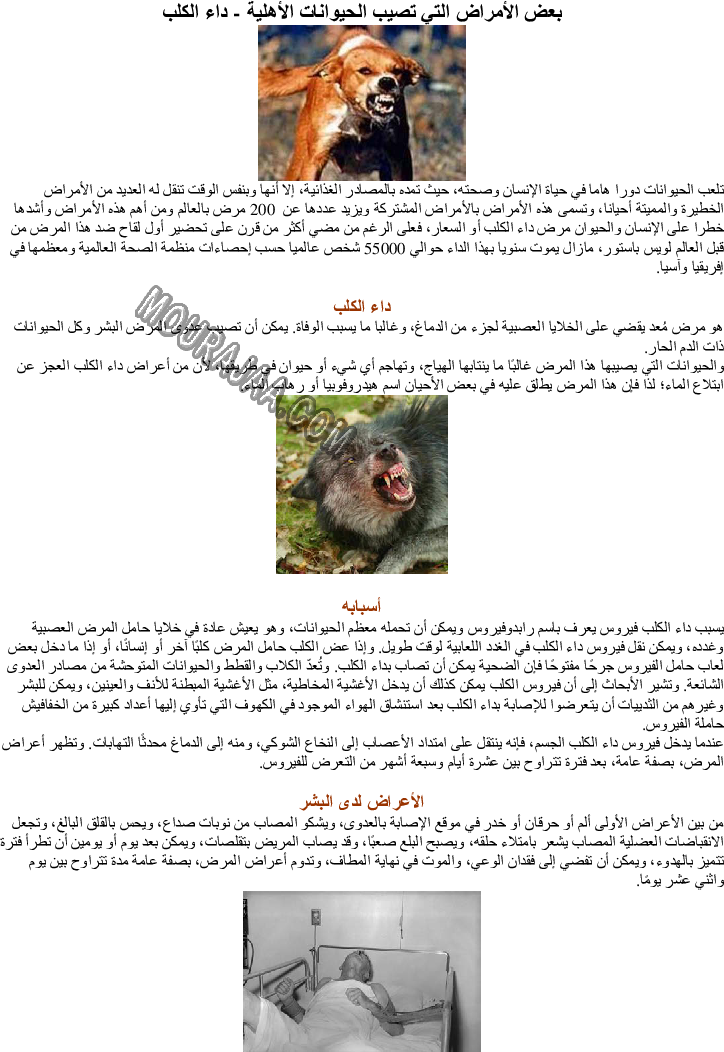 بعض الأمراض التي تصيب الحيوانات الأهلية - داء الكلب