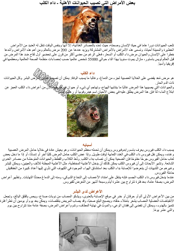 بعض الأمراض التي تصيب الحيوانات الأهلية - داء الكلب