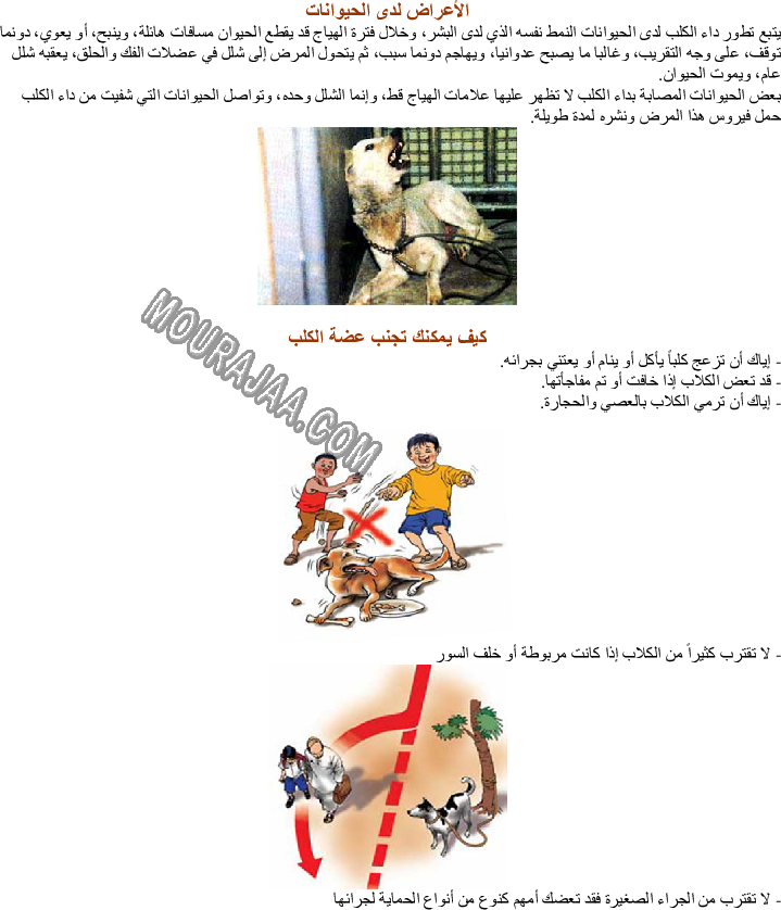 بعض الأمراض التي تصيب الحيوانات الأهلية - داء الكلب