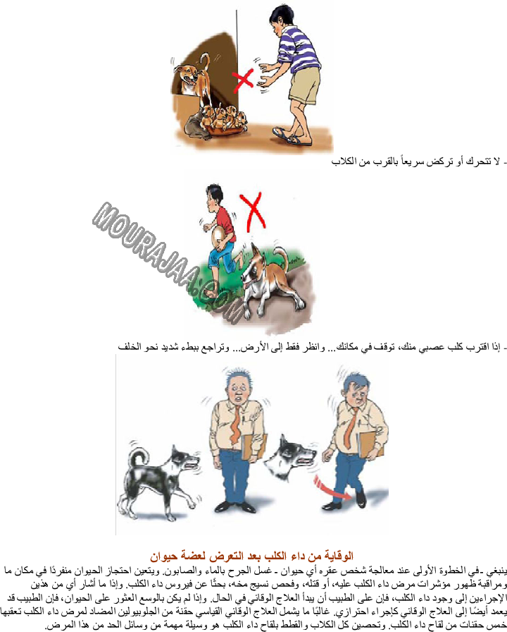 بعض الأمراض التي تصيب الحيوانات الأهلية - داء الكلب