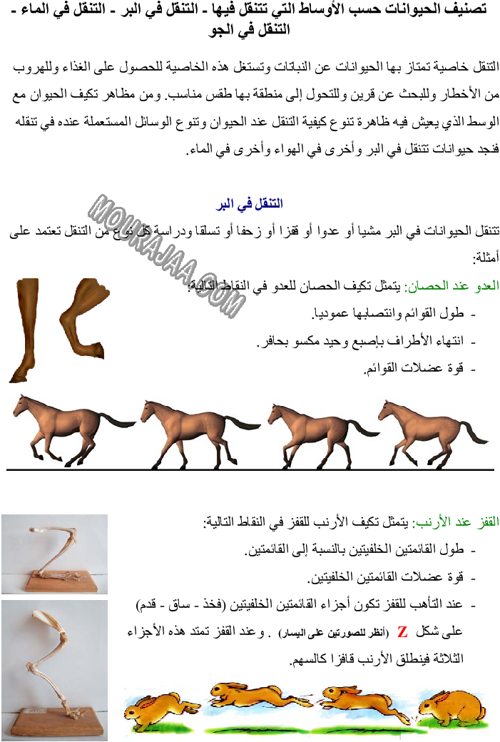 تصنيف الحيوانات حسب الأوساط التي تتنقل فيها - التنقل في البر - التنقل في الماء - التنقل في الجو