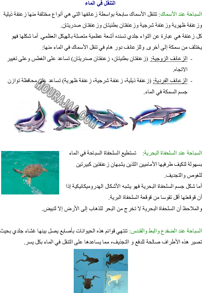 تصنيف الحيوانات حسب الأوساط التي تتنقل فيها - التنقل في البر - التنقل في الماء - التنقل في الجو