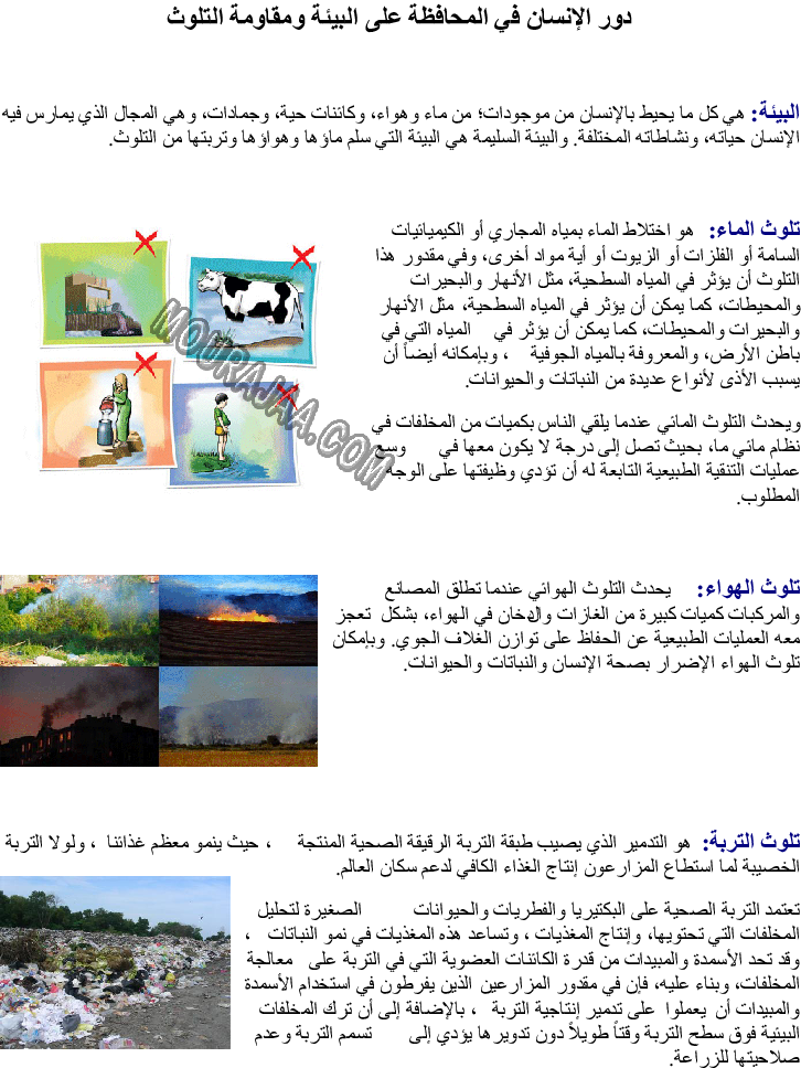 دور الإنسان في المحافظة على البيئة ومقاومة التلوث