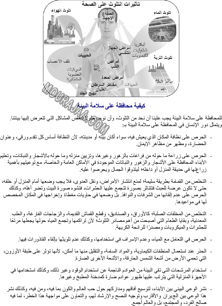 دور الإنسان في المحافظة على البيئة ومقاومة التلوث